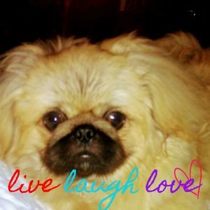 Meet your Posher, Lucy